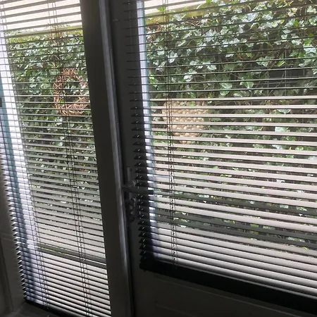 Lejlighed Hendriks Zandvoort